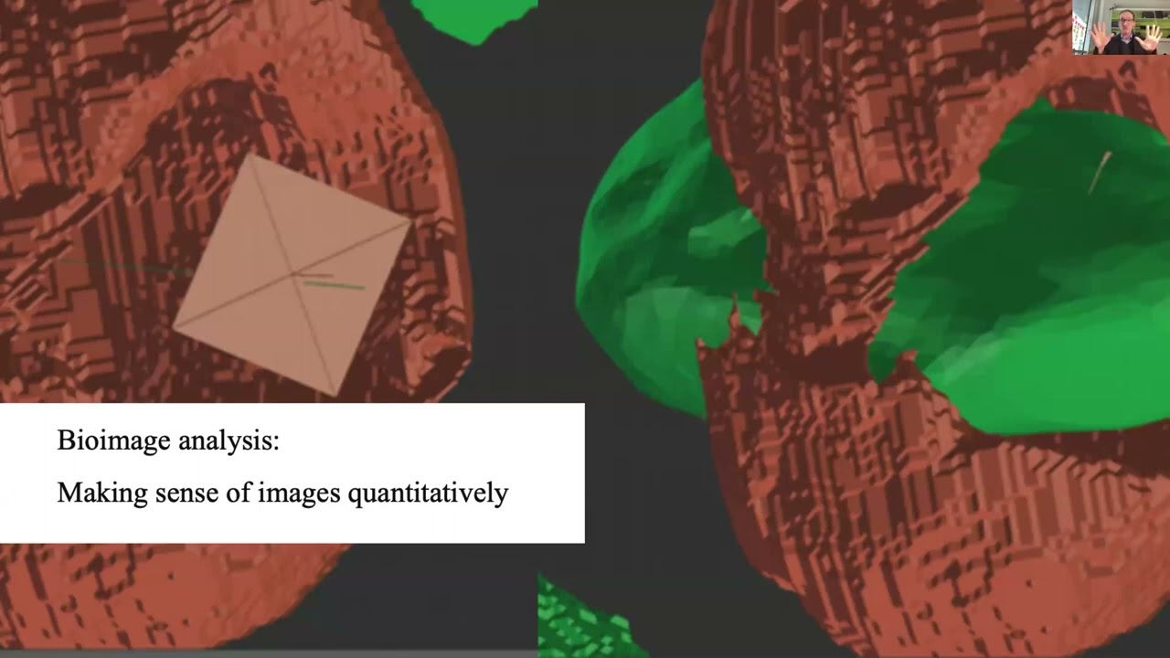 BioImage Analysis of Microscopy data