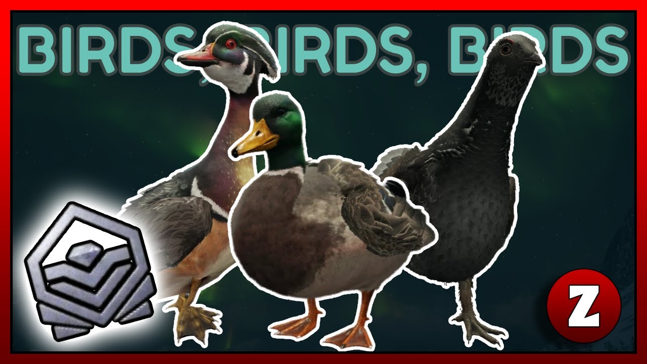 Dusky Grouse + Diamond Waterfowl Hunt! | theHunter: Call of the Wild