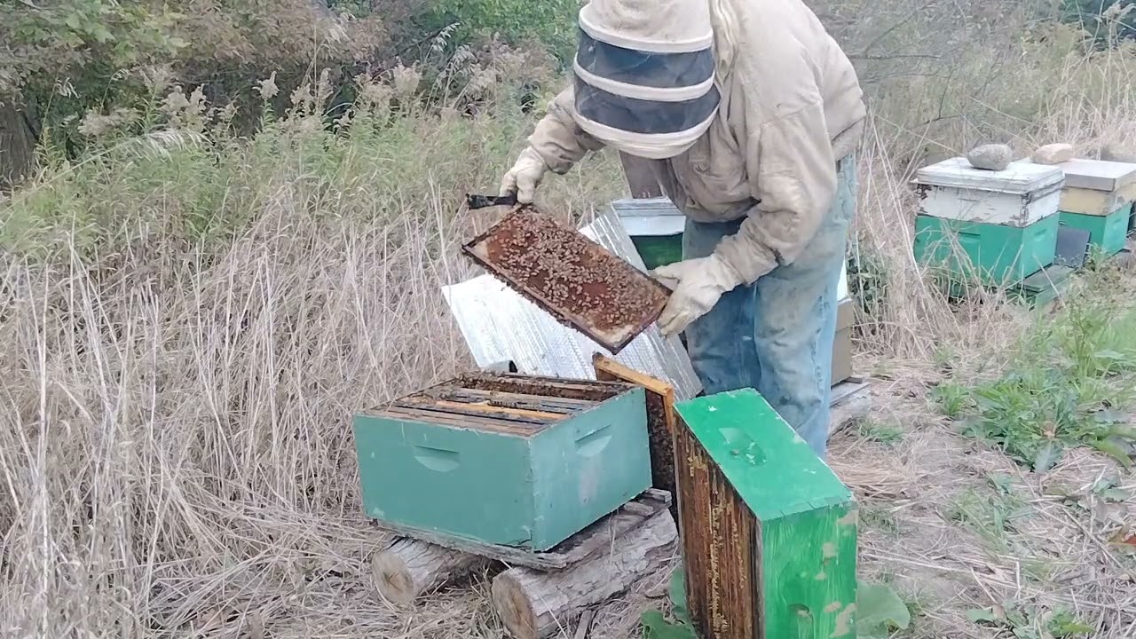 mite wash at the freedom farms