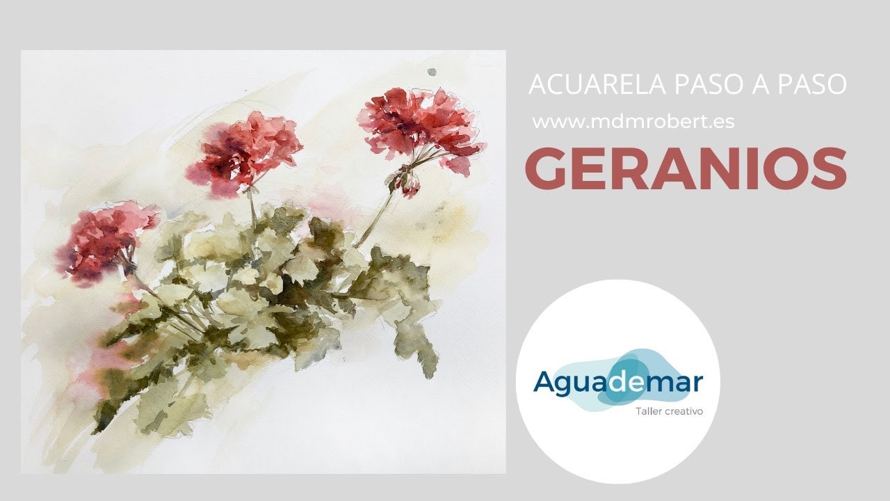 Tutorial en directo: Geranios