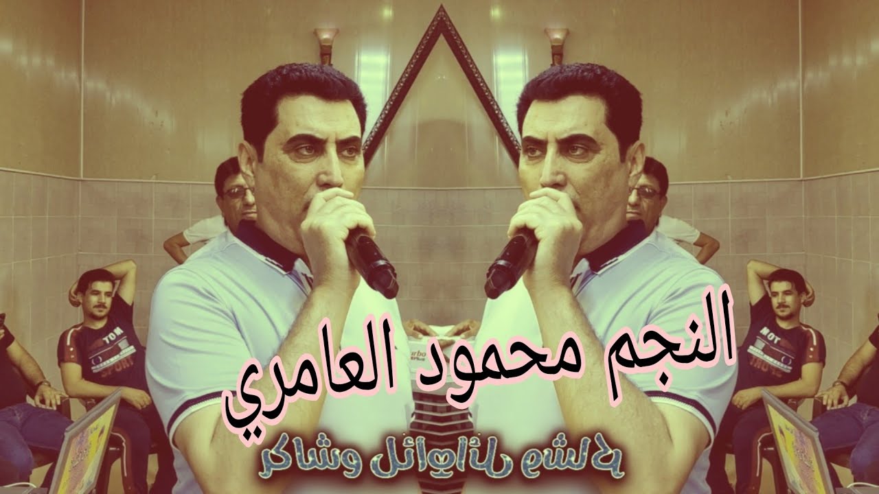 من أجمل حفلات النجم محمود العامري والعازف غازي السبعاوي عرس عبدالرزاق الغالي تسجيلات القيثارة