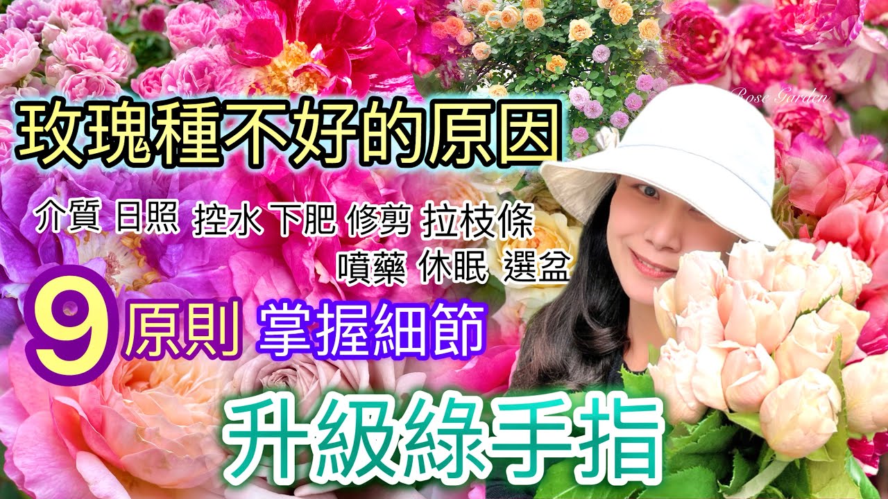 《養玫全攻略》9大原則❗️很多人玫瑰種不好花開差的原因就是這些問題了！從小白晉升綠手指的捷徑