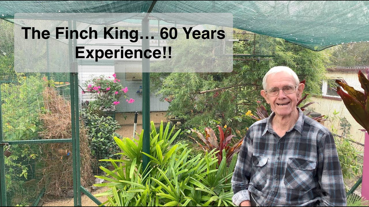 Finches: An Interview With The Finch King!