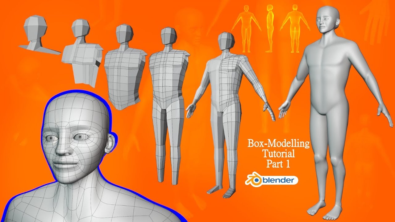 Учебное пособие по Blender — Моделирование человеческого тела для анимации — Часть 1