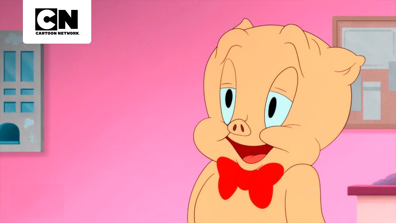 AMANCHIANTE | LOONEY TUNES CARTOONS | CARTOON NETWORK