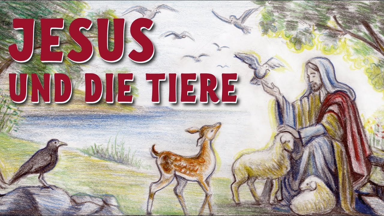 Jesus und die Tiere. Wie sagte Jesus über Tiere?