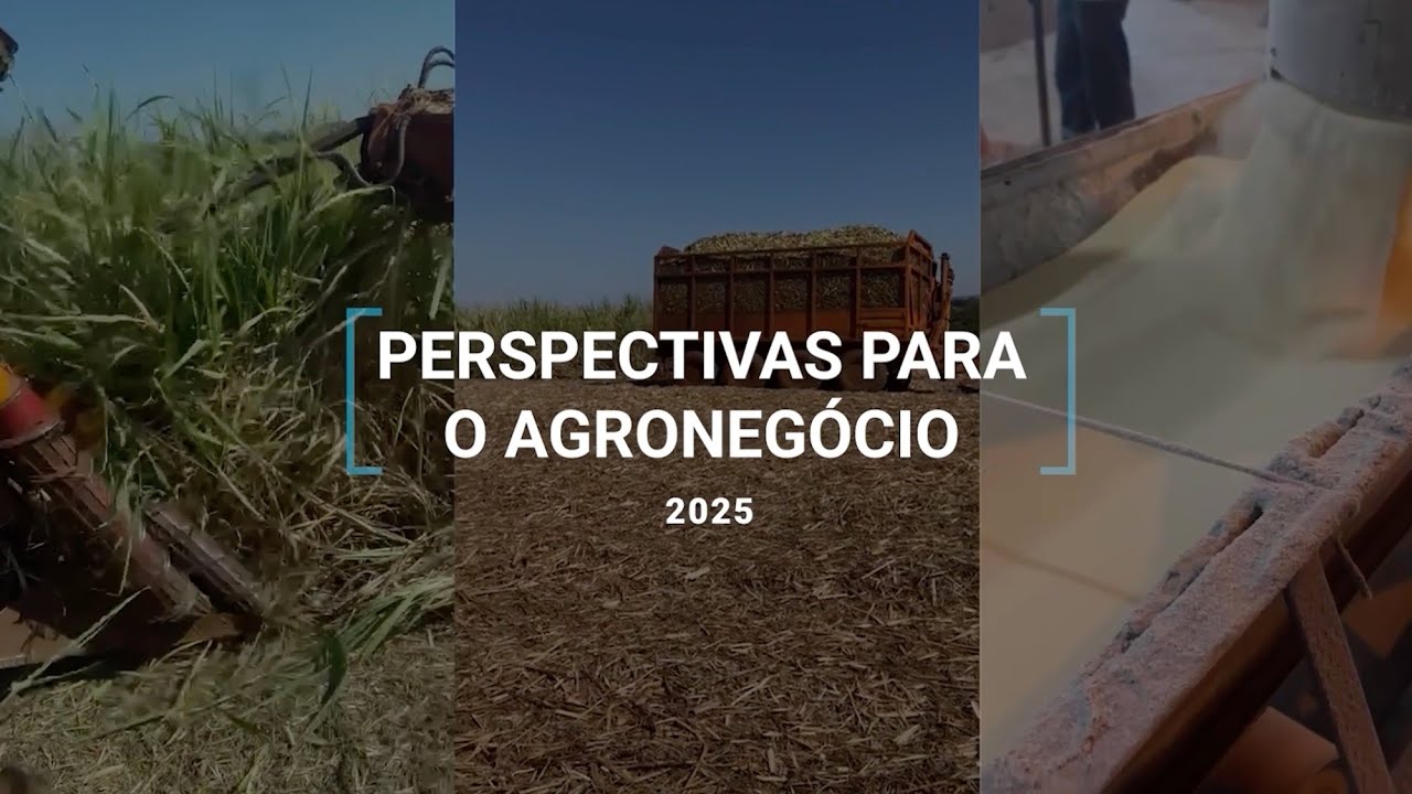Bate-papo com a Gest&atilde;o | O agroneg&oacute;cio em 2025 e impactos do tarifa&ccedil;o