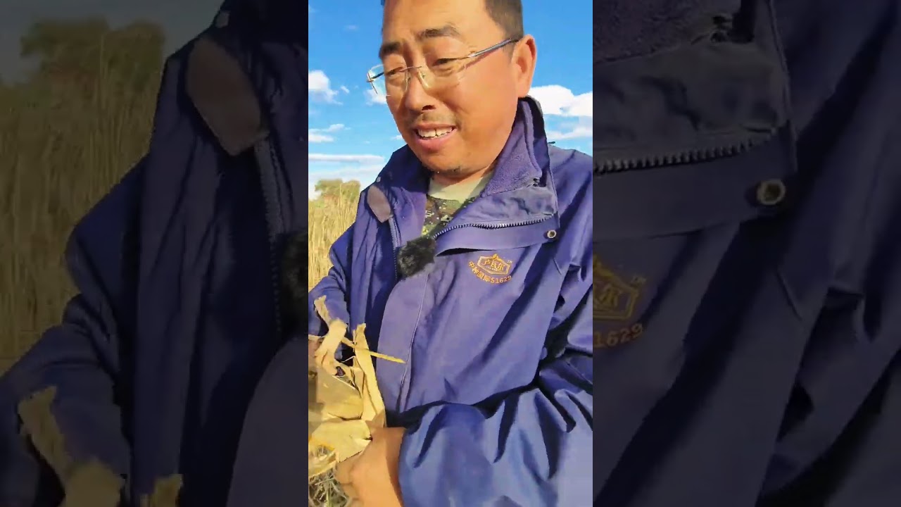 收割机掉沟里啦！ #dou上热门 #三农 #新农人计划 #农民种地不容易