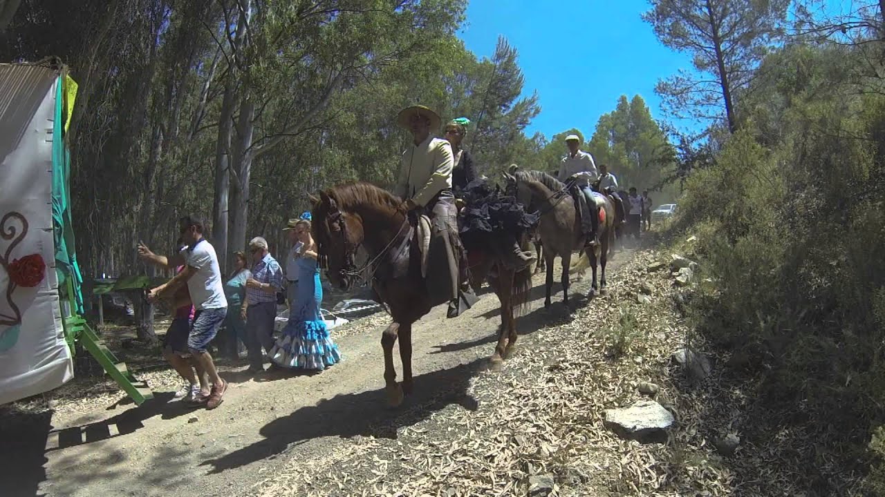 Romeria 2015 Algodonales