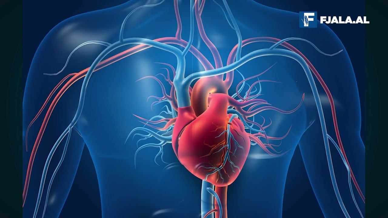 Qarkullimi i dob&euml;t i gjakut, shenjat dalluese n&euml; organiz&euml;m