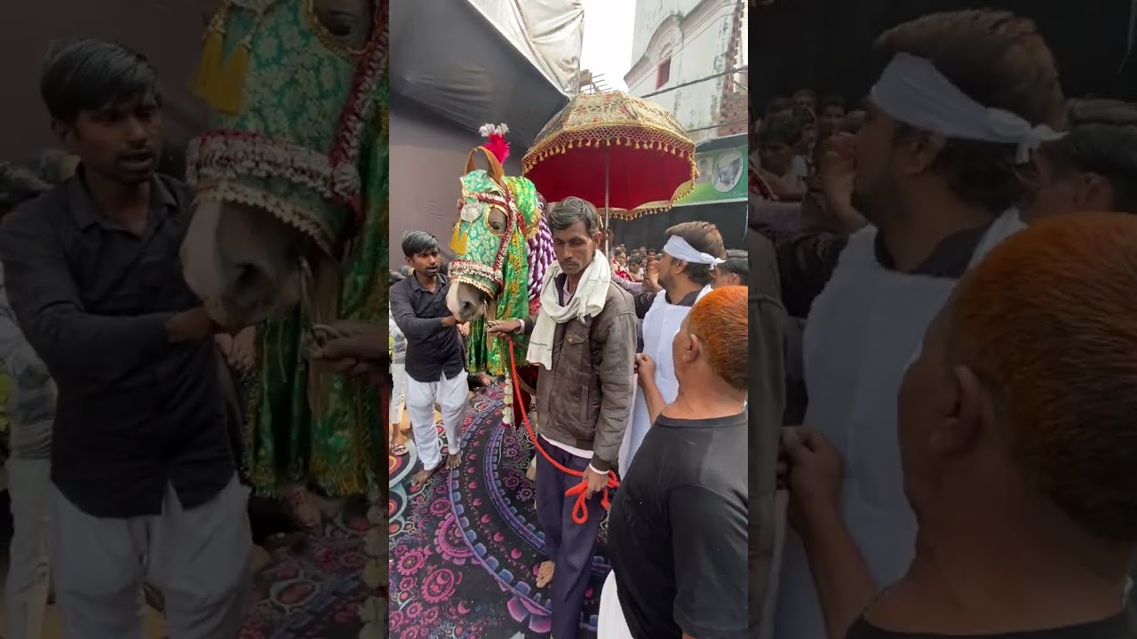Zyarat Tabarrukaat JULOOS 4 Shaban Zaidpur 2026 | Safar e Imam Husain a.s | Safar-E-Karbala | 2026 