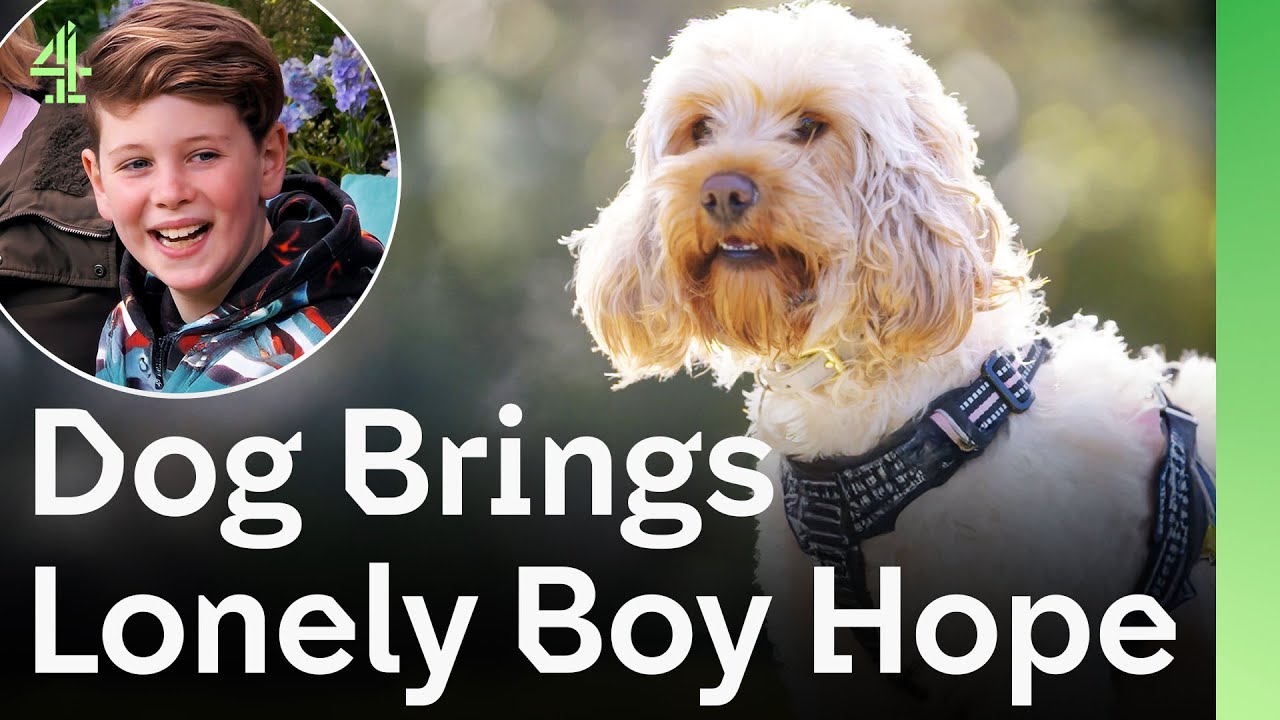 Lonely Boy Finds Hope in Rescue Dog and Together Changed Each Other&rsquo;s Lives | The Dog House 🐶
