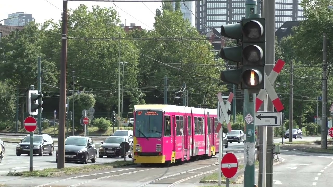 Straßenbahn und Stadtbahn in Essen 2024 - Teil 2 (22.08.2024) | #146