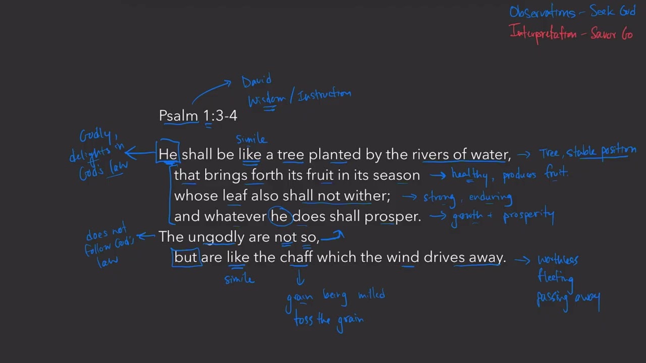 Walk with Him - Psalm 1:3-4