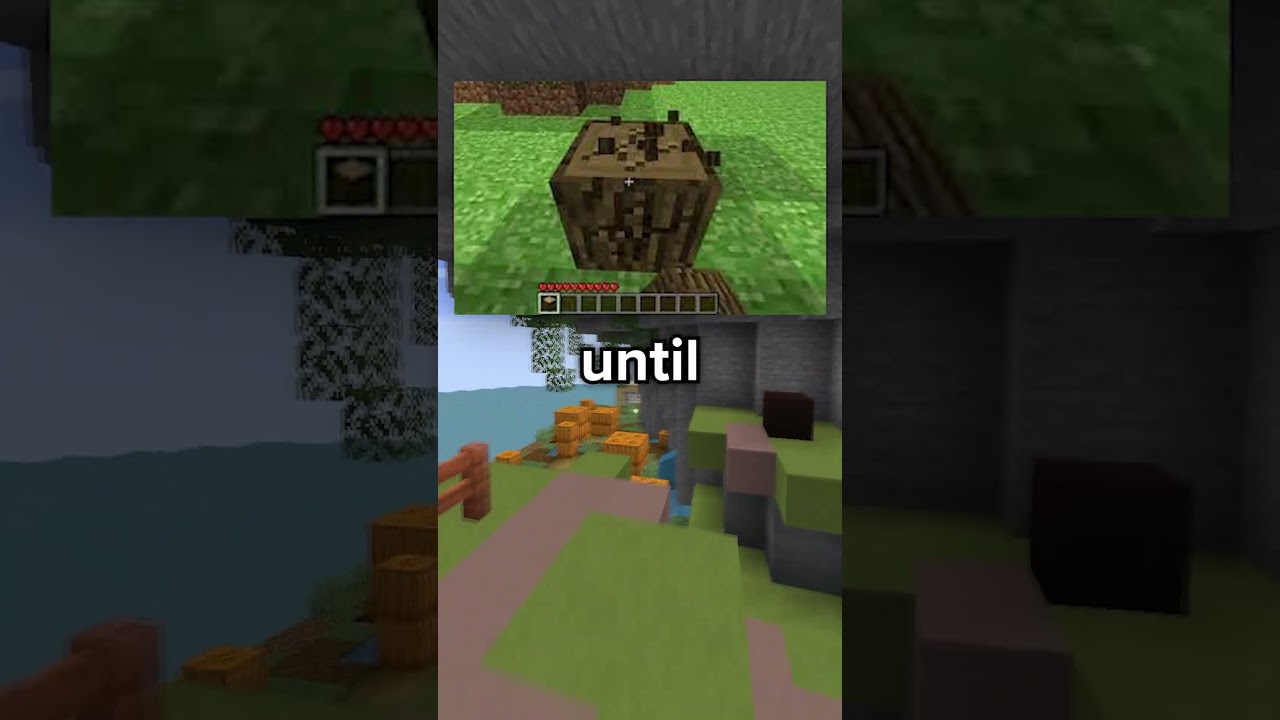 Things you DIDN'T KNOW about Minecraft 
