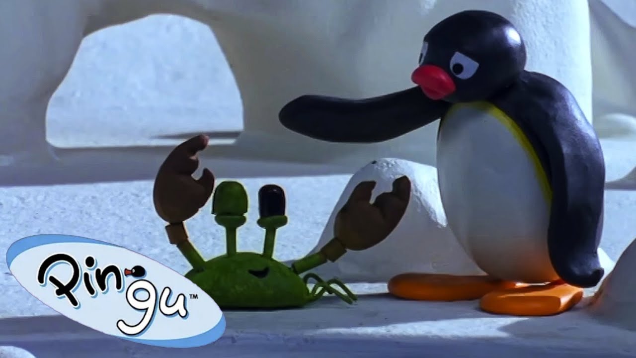 Pingu and His Little Crab Friends 🐧 | Pingu - Official Channel | Cartoons For Kids