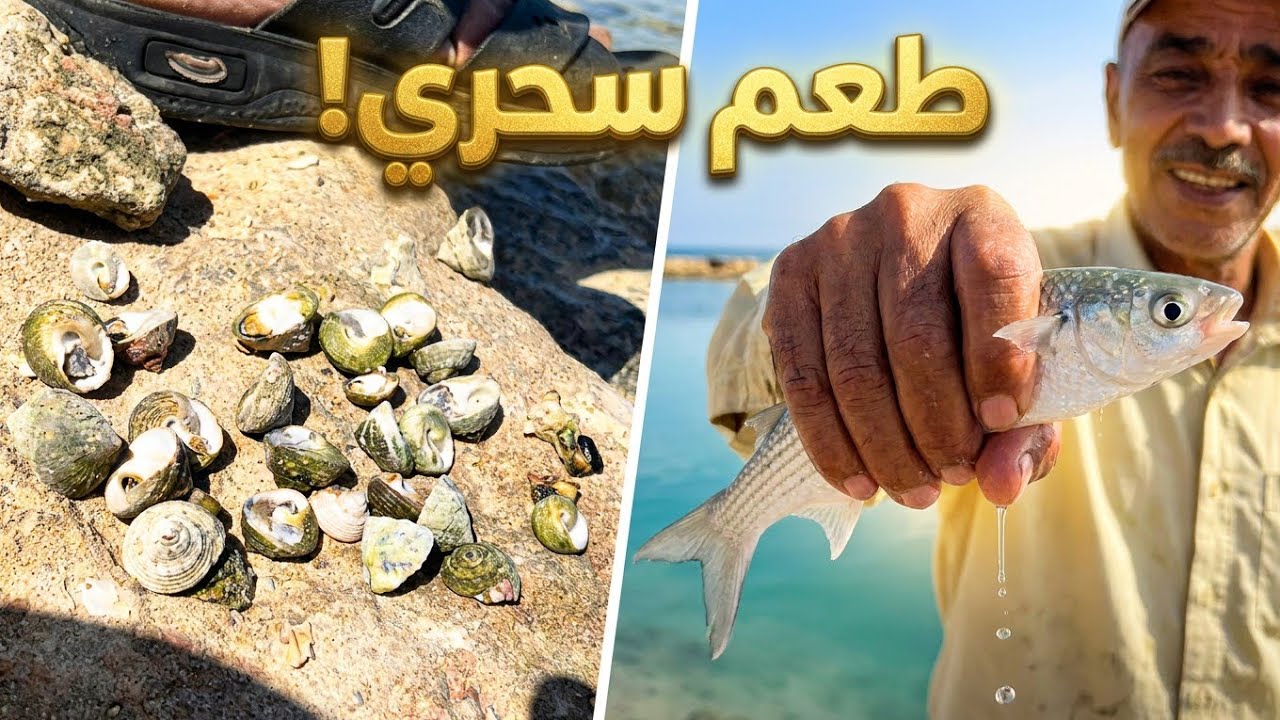 صيد السمك #اكتشاف انواع طعوم جديده #شوف #وقولنا ايه رايك #fishing #