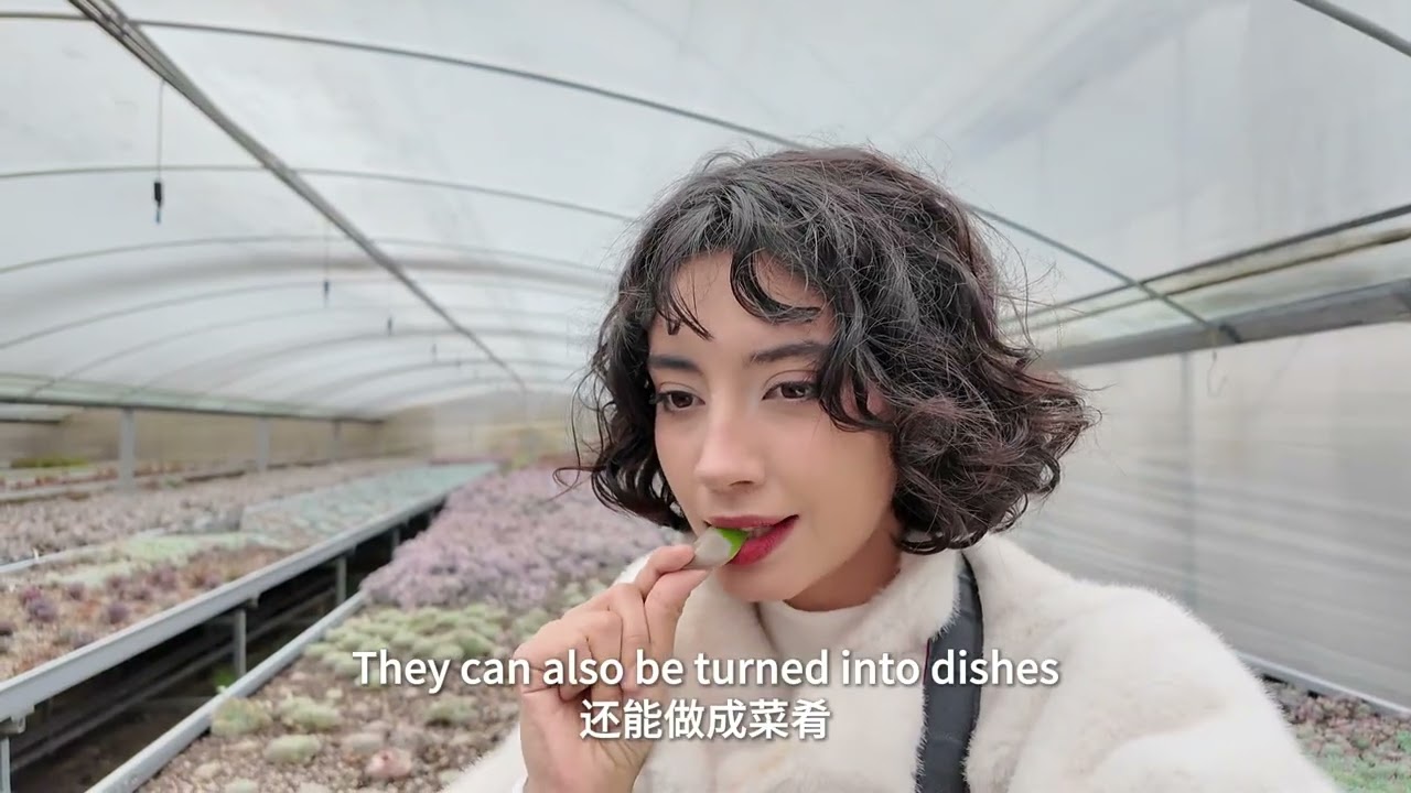 Going to Chinese Villages as a Reporter, Feelings and Thoughts