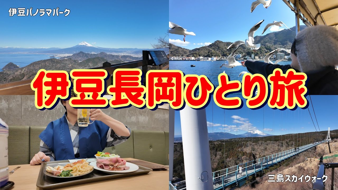 伊豆長岡へ２泊３日！ホテルサンバレー伊豆長岡｜伊豆パノラマパーク｜千鳥観光汽船｜伊豆•三津シーパラダイス｜三島スカイウォーク