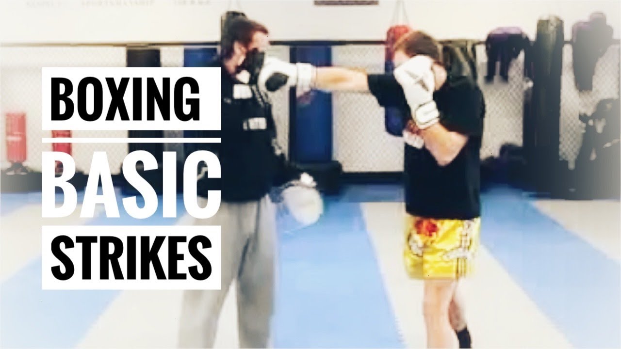 Boxing Lesson #1 - Basic Punches