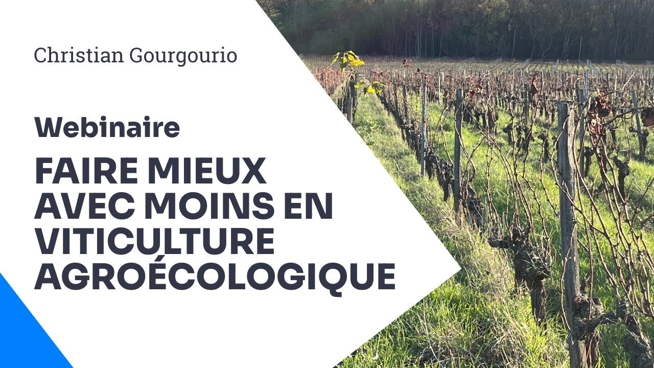 Viticulture agroécologique, faire mieux avec moins, avec Christian Gourgourio