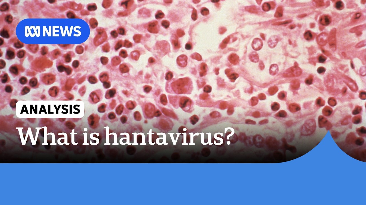 Hantavirus Explained | ABC NEWS