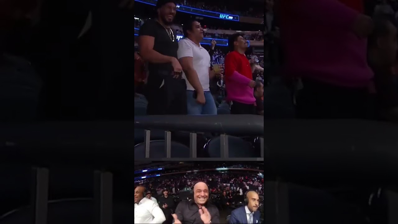 Rogan, Anik, and Cormier react to Chris Barnett&rsquo;s INSANE wheel kick KO