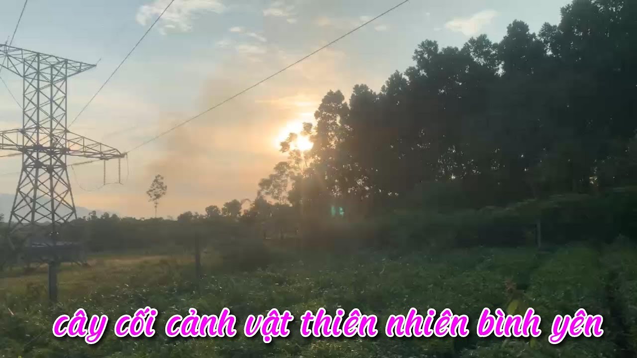 Cây cối cảnh vật thiên nhiên bình yên