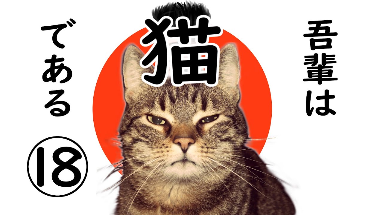 【朗読】吾輩は猫である(18)／夏目漱石