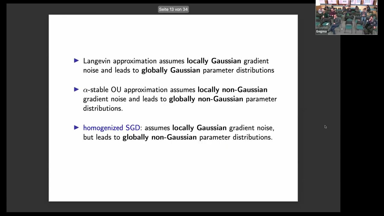 TMLW02 | Martin Keller-ressel | Emergence of heavy tails in homogenised stochastic gradient descent