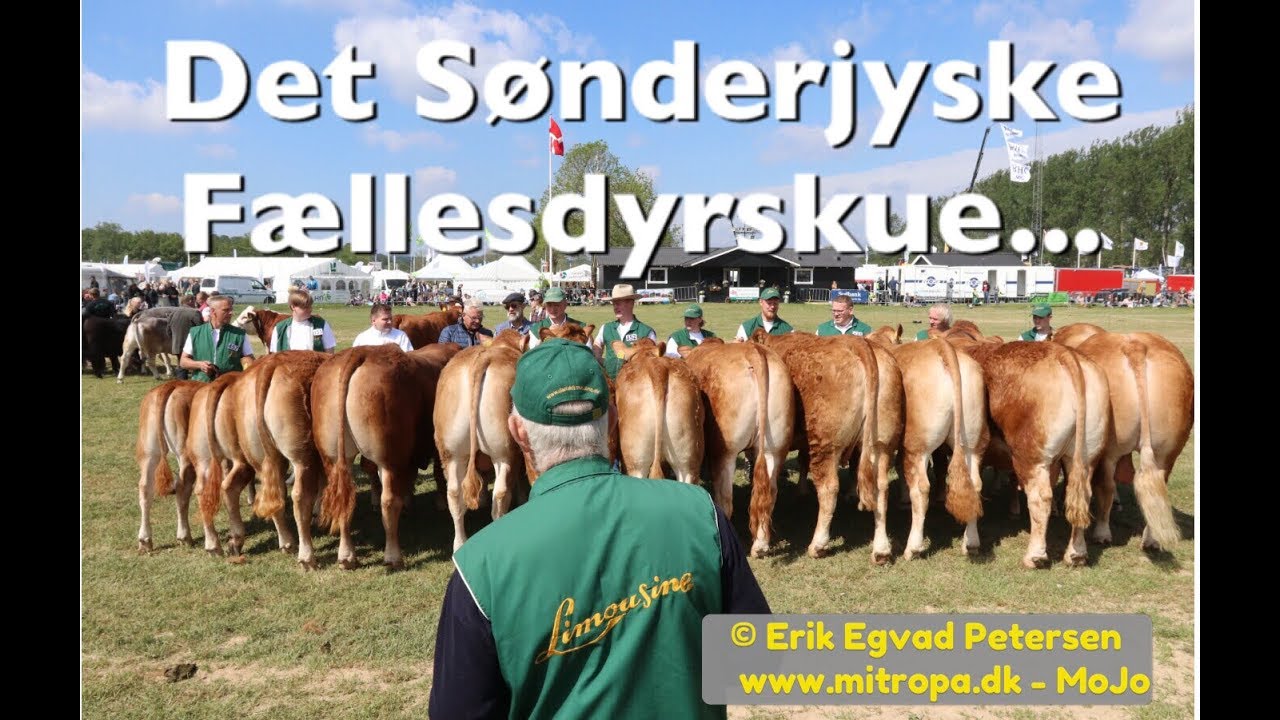 Dyrskuet i Aabenraa 2019