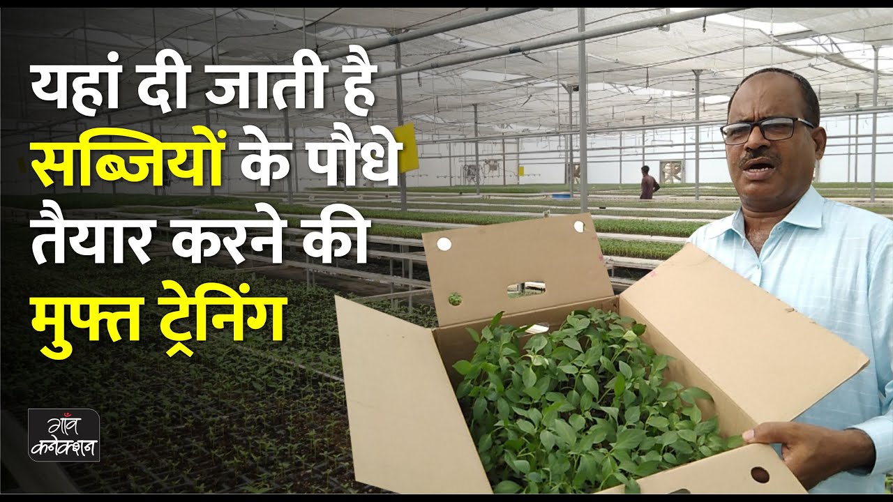 यहां तैयार होते हैं सब्जियों के दस लाख पौधे, किसानों को मिलती Free Training || Vegetable Farming