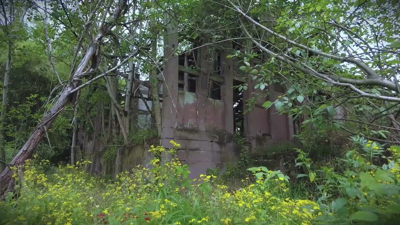 探寻重庆荒野古寺，满文对联已属罕见，没想到还有更大惊喜！ #探古寻幽