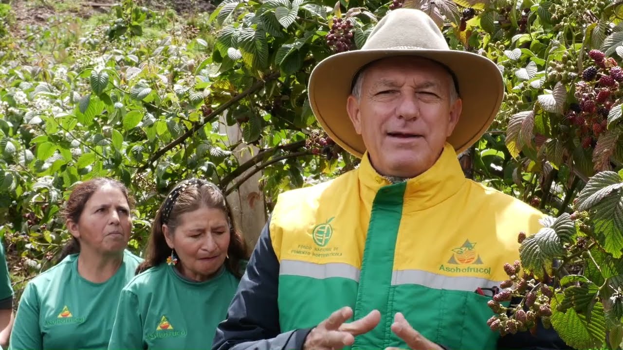 Páramos en Monguí florecen con la mora-uva