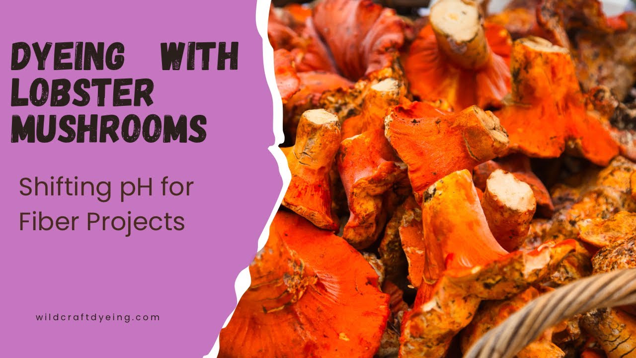 How to Dye with Lobster Mushrooms: Shifting pH for Fiber Projects