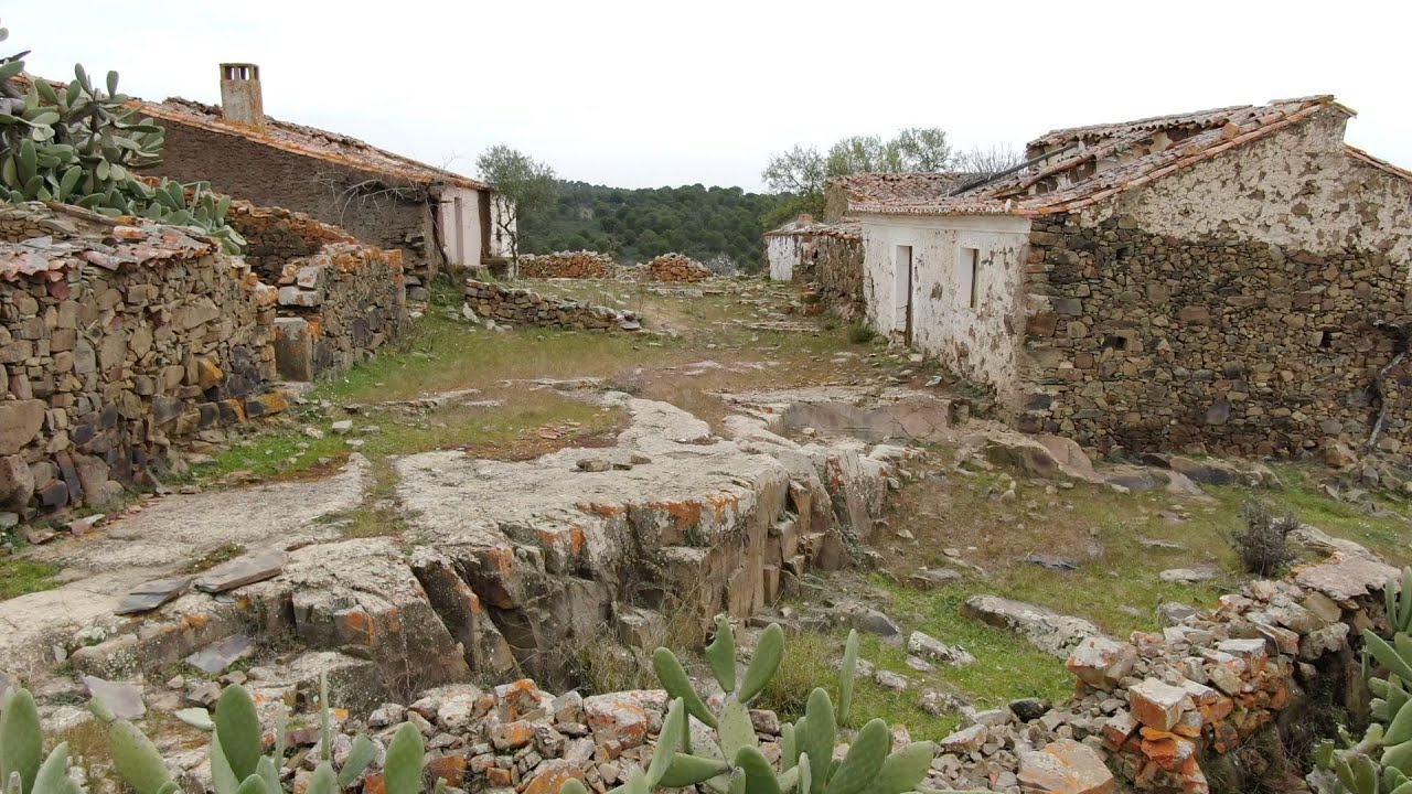 Viçoso | Histórias de um monte abandonado