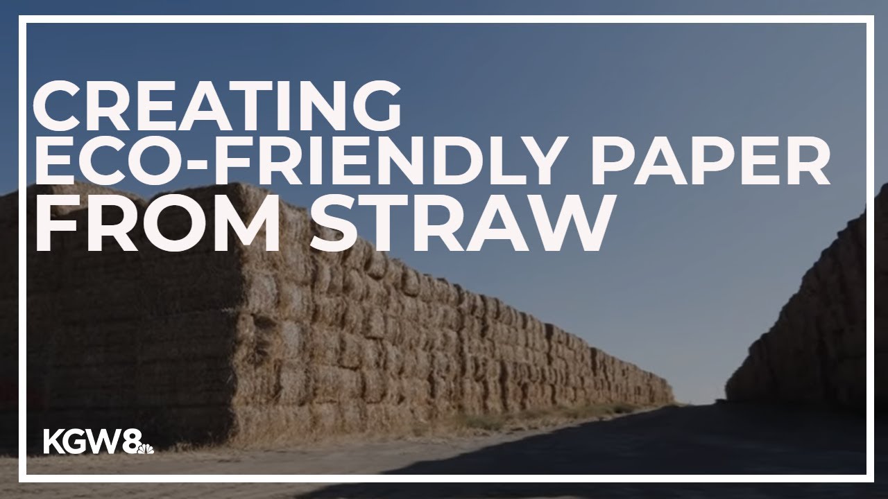 Washington company creates eco-friendly paper out of straw
