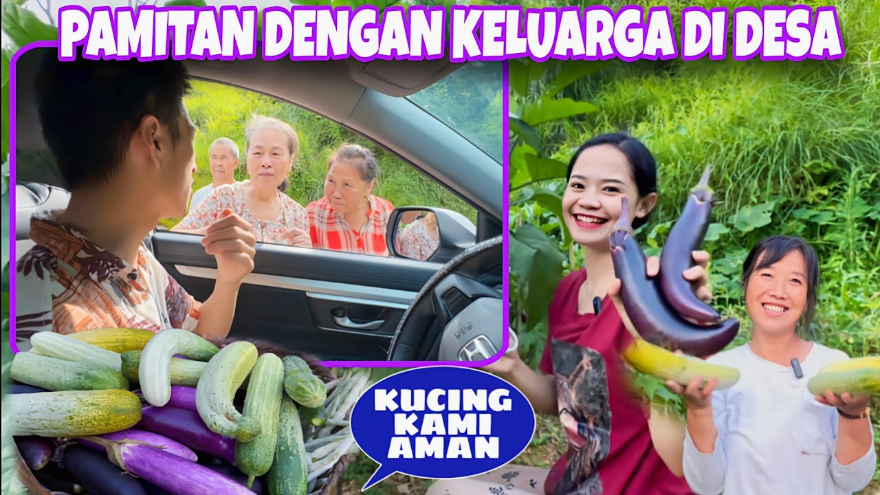 PAMIT KE KELUARGA DIDESA TERPENCIL DAN PANEN SAYUR DIKEBUN UNTUK PARA SEPUPU DI GUANGDONG