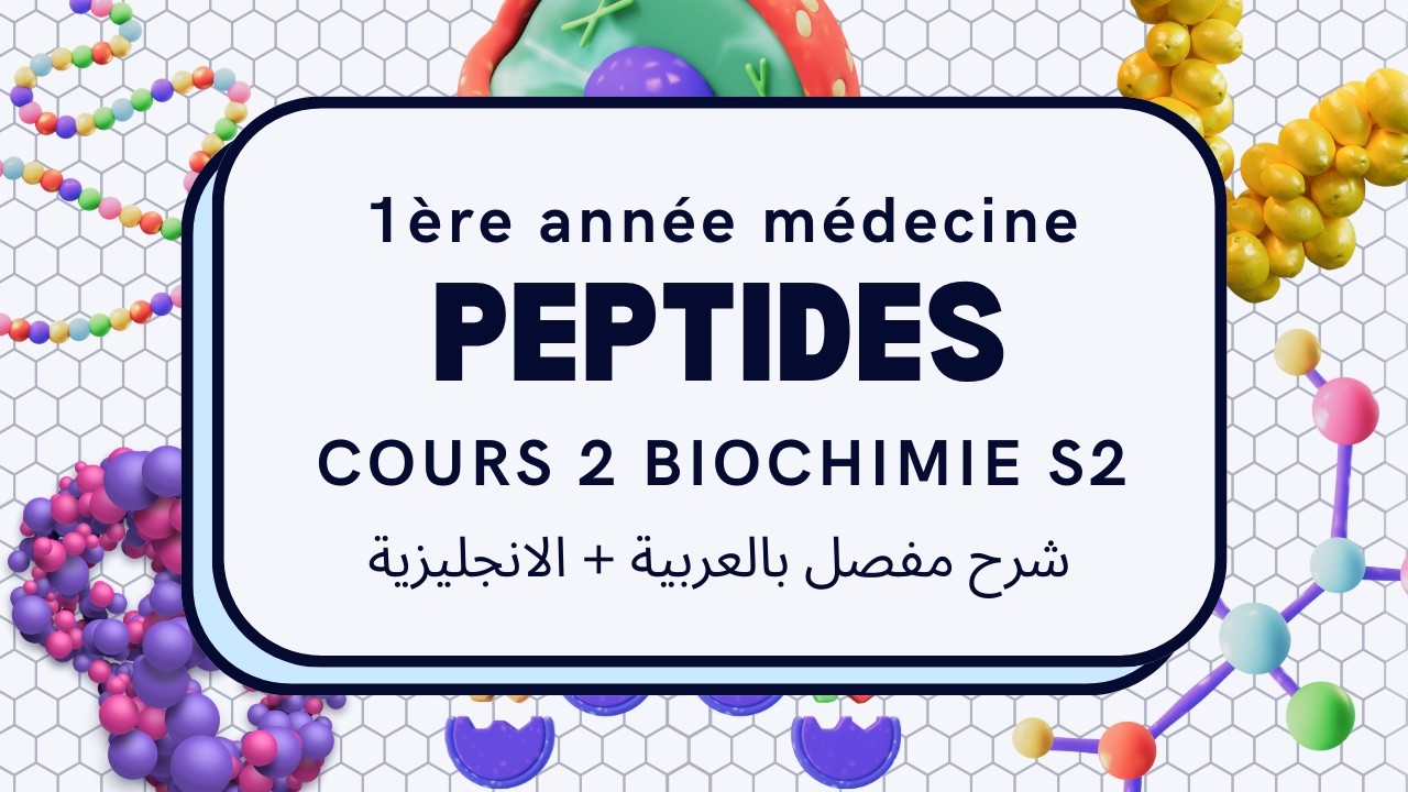 1ère med Biochimie: peptides شرح بالعربية و الانجليزية 🎀✨