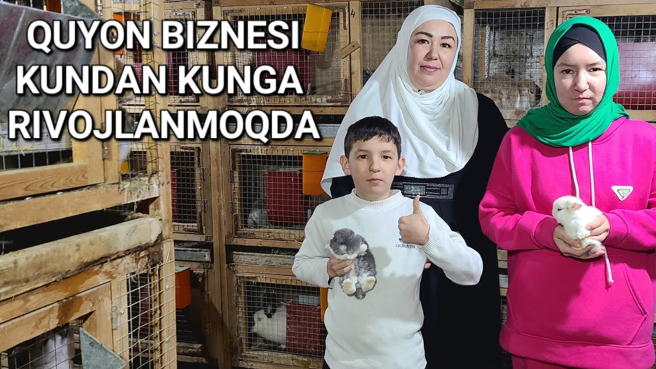 Qibray tumanida Ayol qizlarni quyonchilikga o'rgatayotgan opani fermalarini ko'ramiz