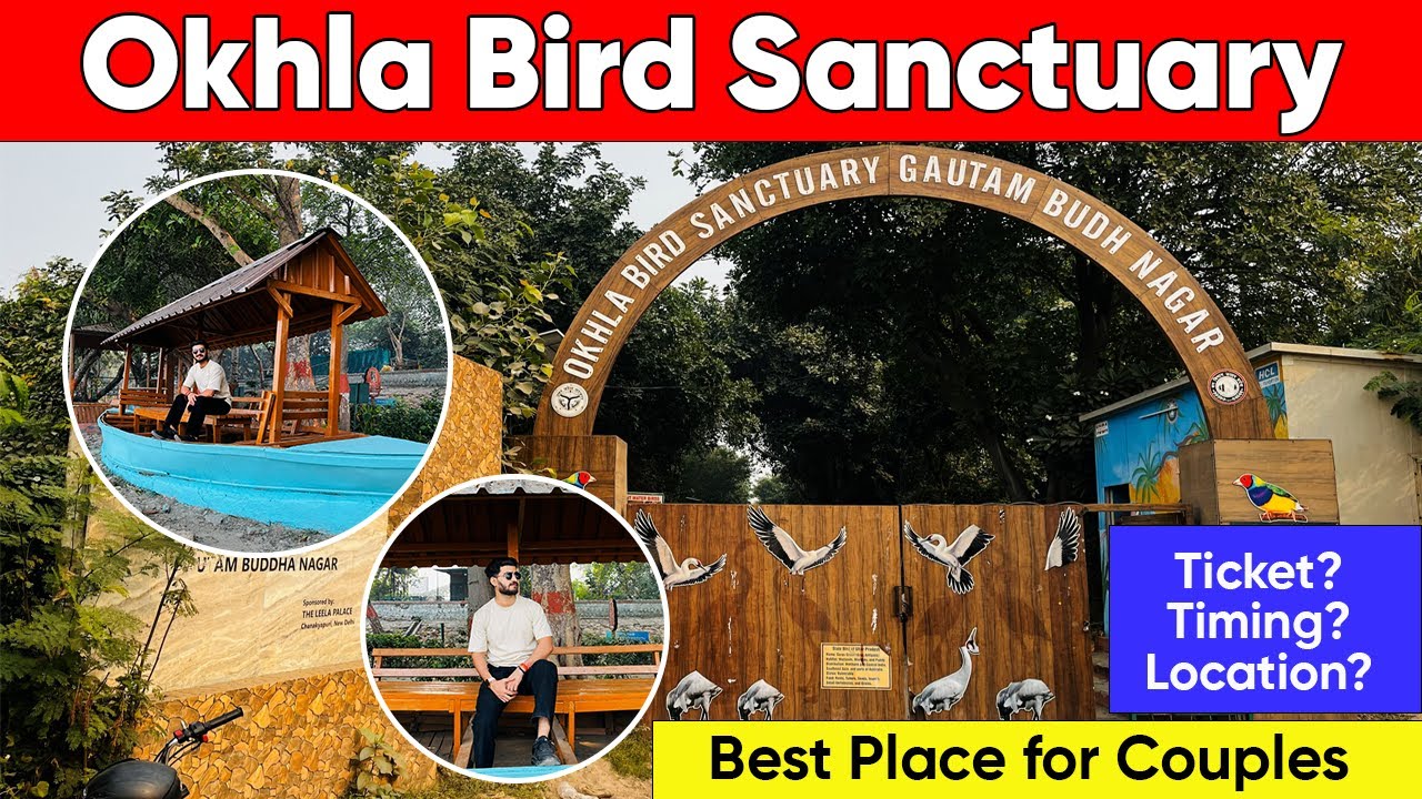 okhla bird sanctuary | okhla bird sanctuary noida | okhla bird sanctuary delhi | best place in delhi
