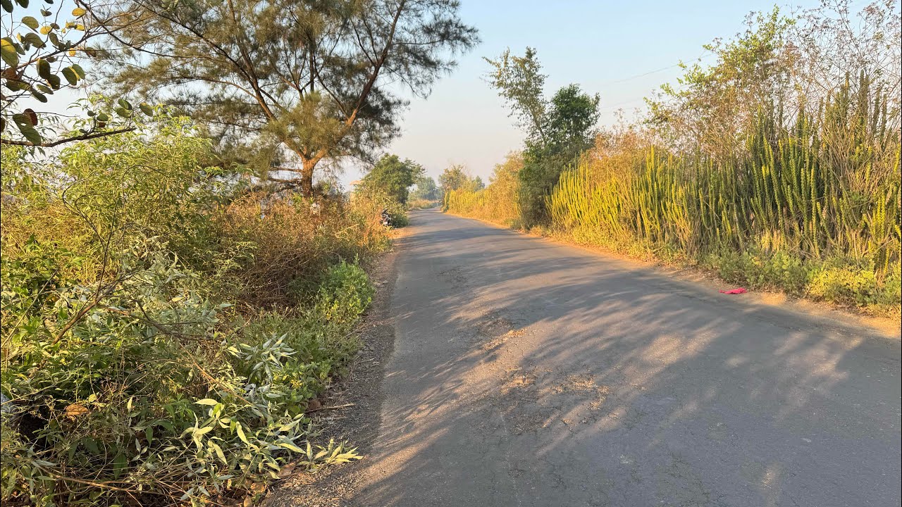 Agricultural land for sale in Pali Sudhagad 8788035368