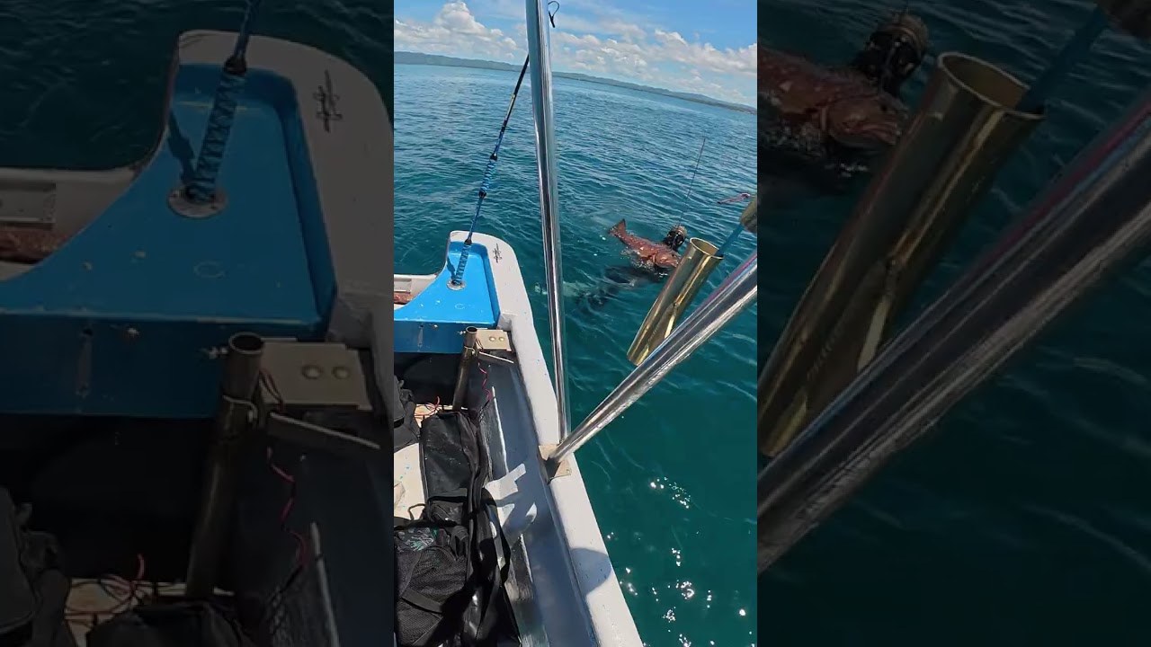 Action-packed spearfishing—Cubera, Mutton, Pompano!