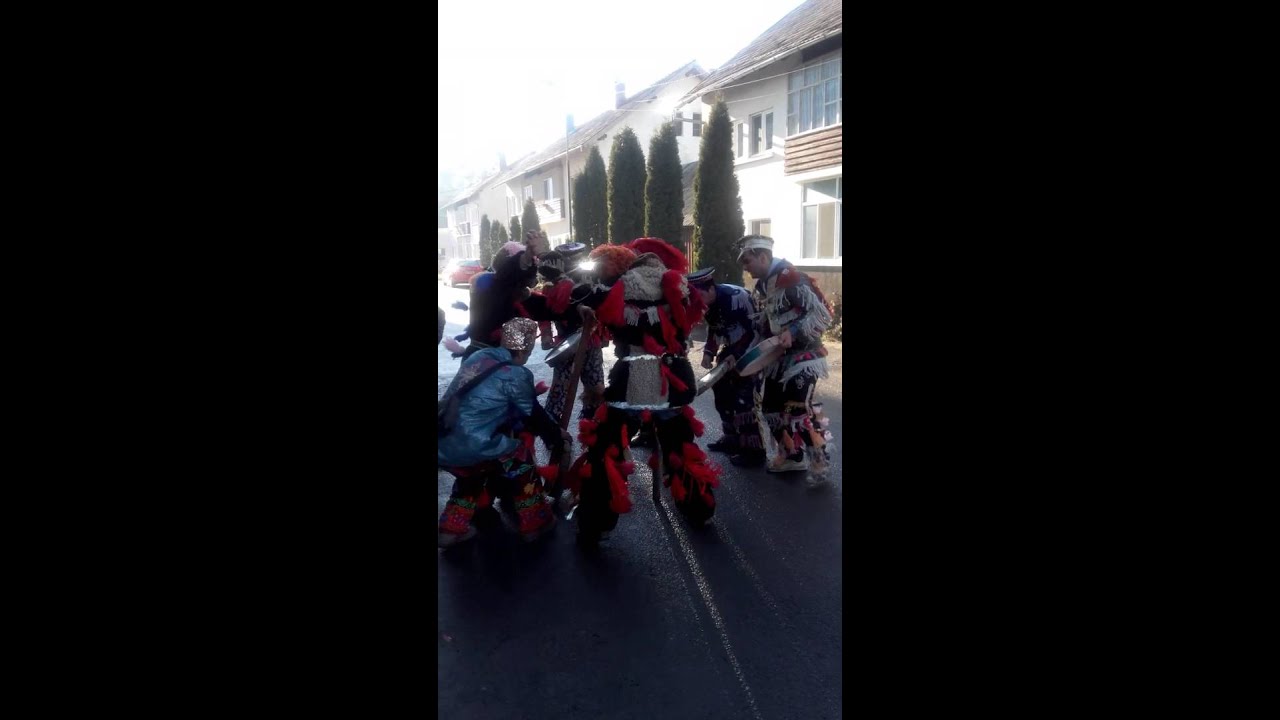 Ursi de la Piatra Neamt........ la Prundu Bargaulu