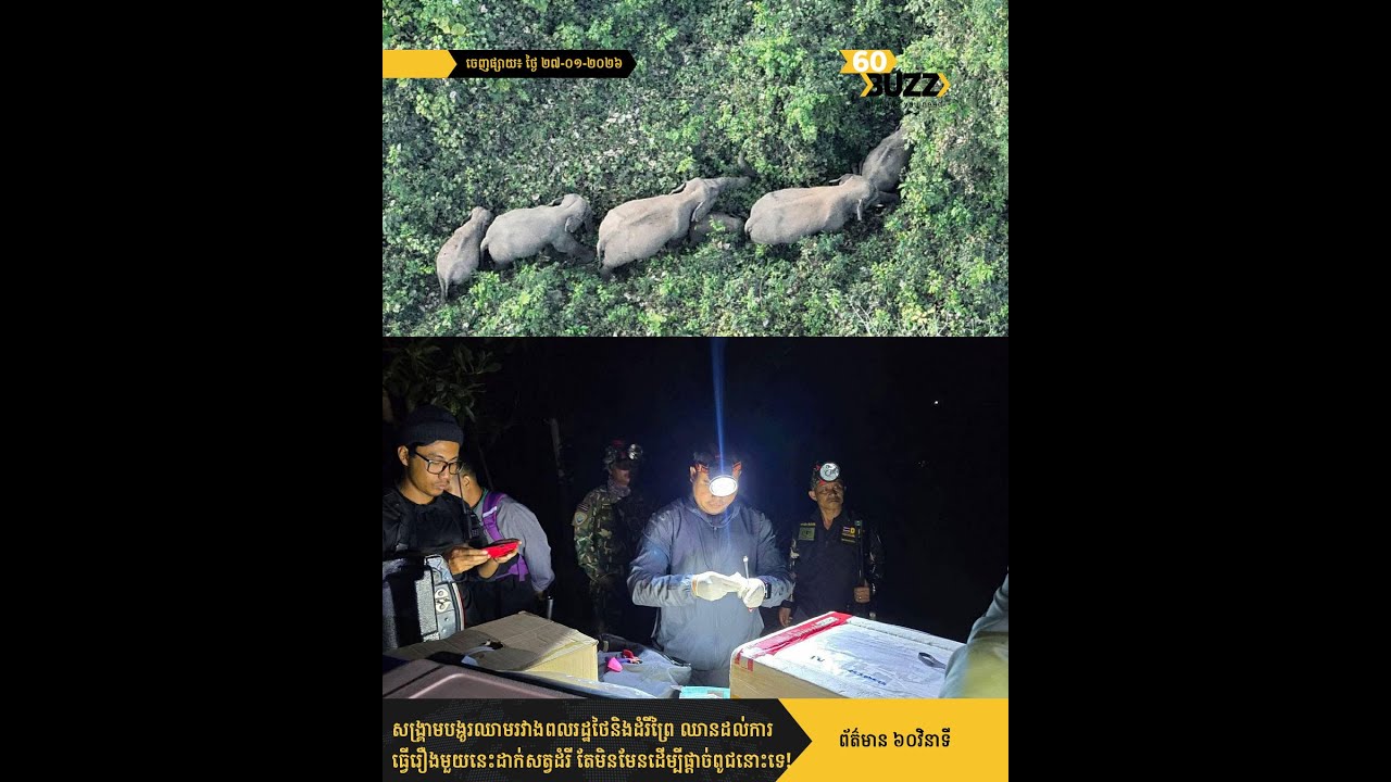 សង្គ្រាមបង្ហូរឈាមរវាងពលរដ្ឋថៃនិងដំរីព្រៃ ឈានដល់ការធ្វើរឿងមួយនេះដាក់សត្វដំរី តែមិនមែនដើម្បីផ្ដាច់ពូជ