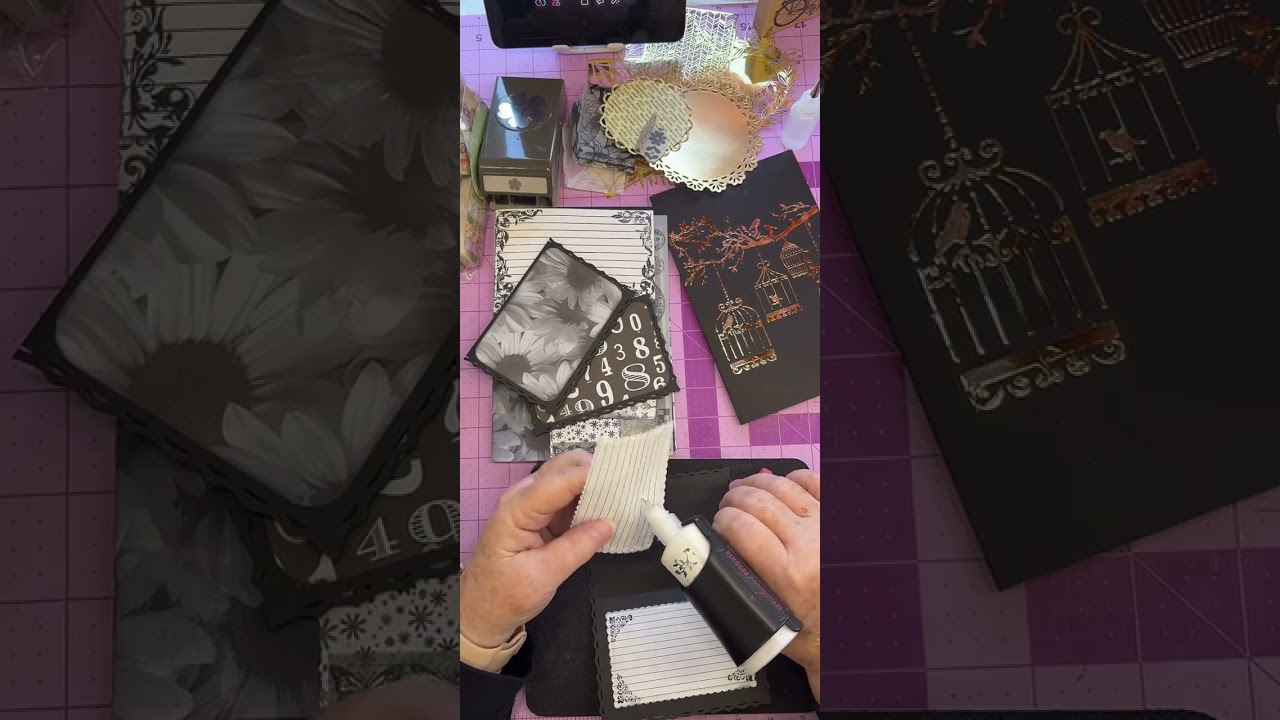 2/11/2026 Black/White/Gold Journal Continued
