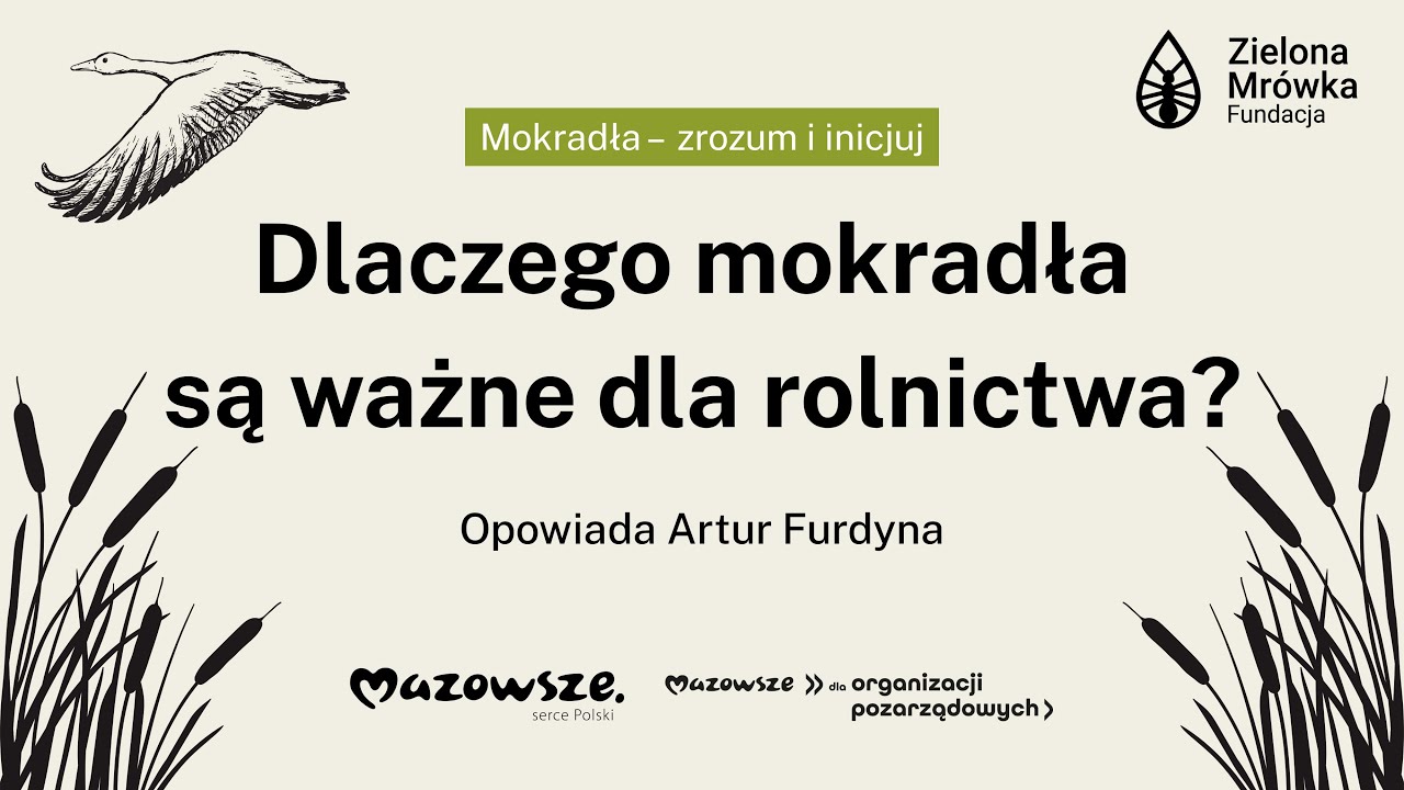 Jak przekonać rolników do odtwarzania mokradeł?💧 Opowiada Artur Furdyna