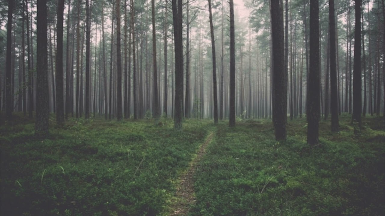[FREE DOWNLOAD] Dark Type Beat 