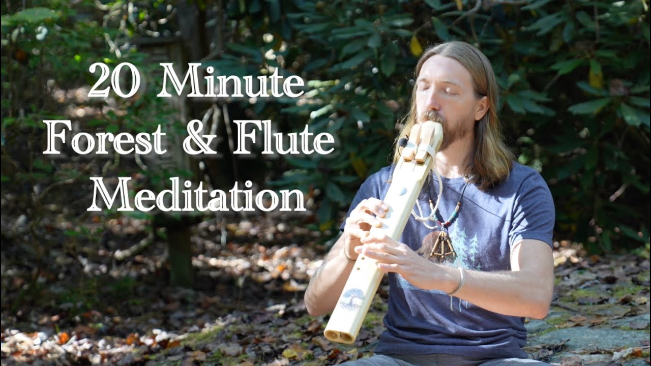20 Minute Flute & Forest Meditation