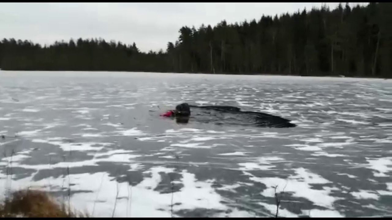 Jäistänousemus